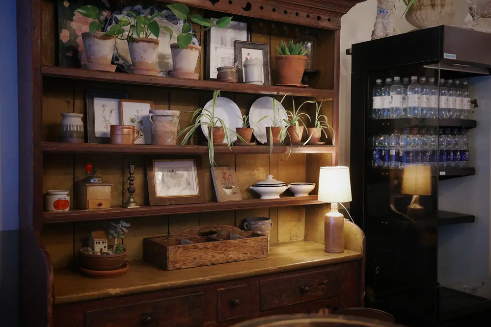Antique wooden dresser with plants, crockery and a table lamp