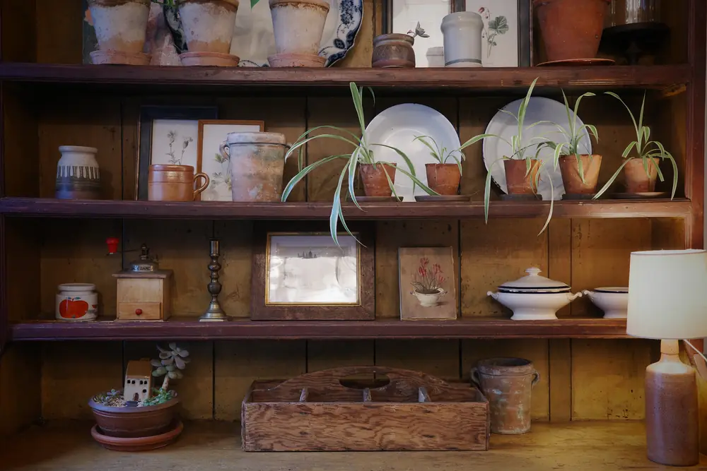 Dresser shelves styled with plants, pots and prints